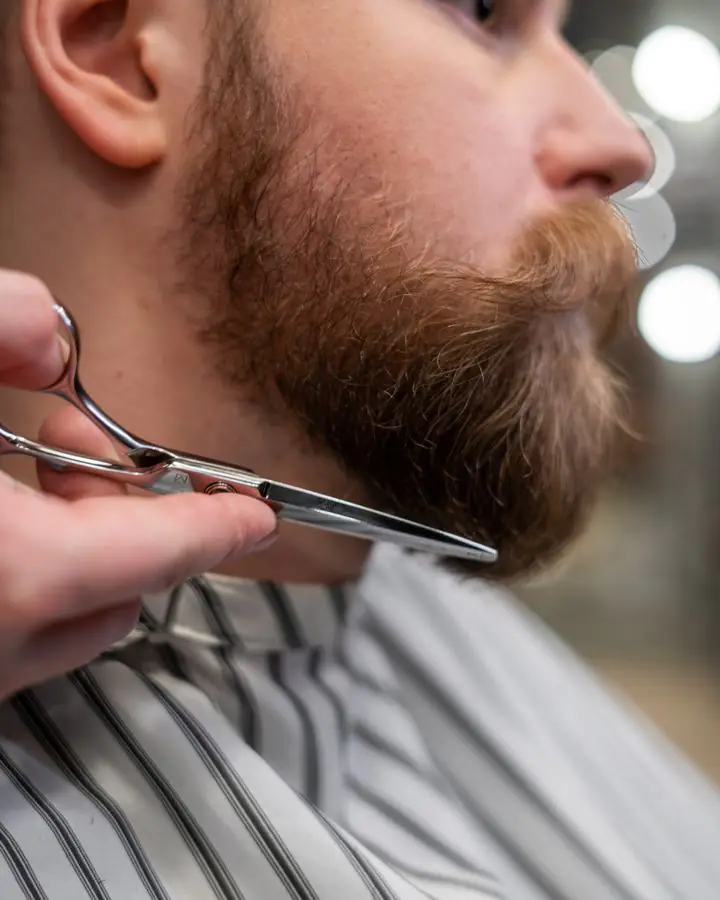 Beard being shaped with scissors